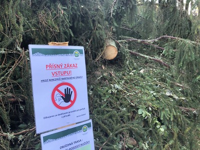 Bilance středeční bouřky v Krkonoších: 20 000 m3 poničeného dřeva