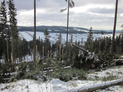 Víkendové sněžení způsobilo polomy v lesích na Rokytnicku