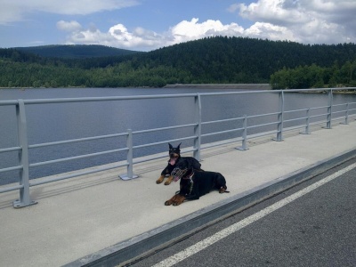 Jizerskohorské přehrady chrání před povodněmi