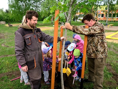 Nadace ČEZ již po deváté vyhlásila grant Stromy, nyní pro jarní výsadbu