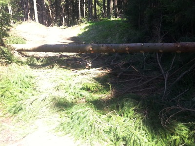 Cyklostezka z Dobré vody je aktuálně pro cyklisty nepoužitelná