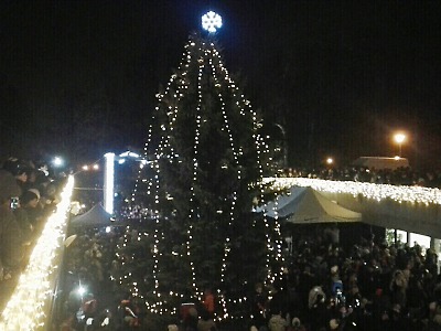 Obrazem: Rozsvícení vánočního stromu ve Vratislavicích 2017