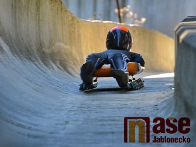Obrazem: Mezinárodní MČR v jízdě na kolečkových saních