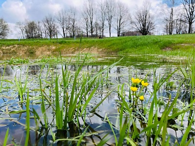 Autor foto:Archiv KÚ Libereckého kraje Kraj schválil dotace 15 milionů na projekty v oblasti životního prostředí