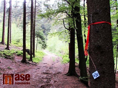 Srnčí důl má podle města Jablonec velký potenciál. Obnoví tůň v lomu