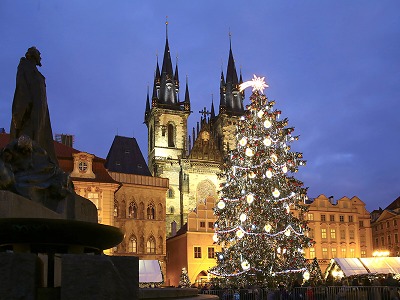 Hledá se vánoční strom pro Prahu 2022