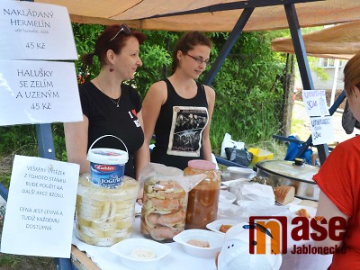 Obrazem: XII. Bzovská staromilská pouť