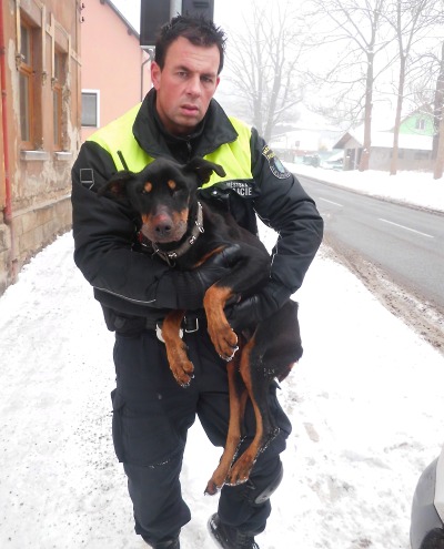Strážníci z Jablonce se postarali o týraného psa