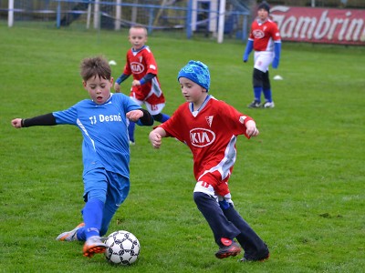 Turnaj přípravek v Zásadě vyhrála Desná, druhý skončil domácí tým