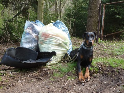 Jablonečané posbírali při akci Ukliďme Česko tunu odpadu