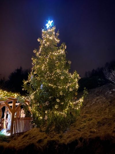 V Jindřichově bude opět zářit vánoční stromek