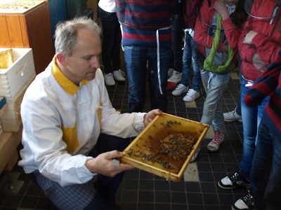 Liberecký kraj podpoří začínající včelaře