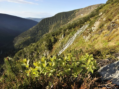 Krkonošskému národnímu parku je 58 let