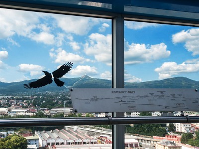 Vyhlídka v 17. patře krajského úřadu je opět otevřená pro veřejnost