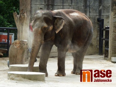 Obrazem: Výjezdní jednání Komise pro ochranu zvířat proběhlo v ZOO