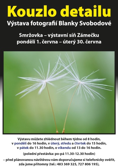 Kouzlo detailu Blanky Svobodové uvidíte na smržovském Zámečku