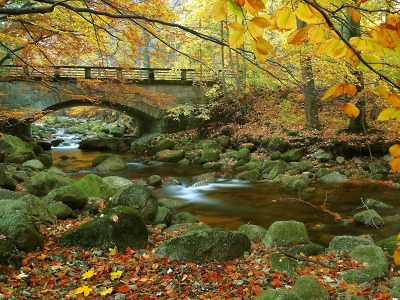 Finišuje soutěž Zaostřeno na Jizerky, fotky zasílejte do 6. června