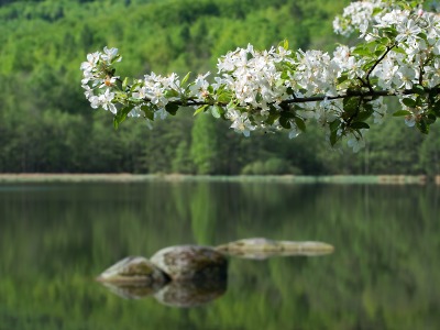 Nadace vyhlásila nový ročník fotosoutěže Zaostřeno na Jizerky