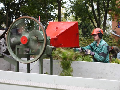 Zeleň kolem jablonecké přehrady prochází obnovou