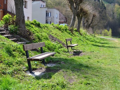 Den Země si v Železném Brodě připomněli vysazením stromů u Jizery