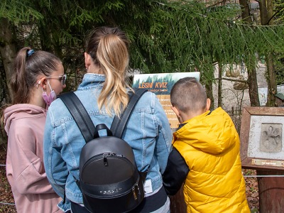 Kam v létě s dětmi? Na ruské kolo i bobovou dráhu