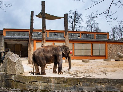 Autor foto:Archiv KÚ Libereckého kraje Hledají se noví ředitelé botanické zahrady a zoo. Kraj vypisuje konkurz