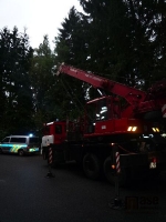 Autonehoda ve Zlaté Olešnici