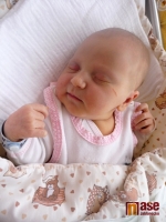 Maminka Vladimíra Francová porodila dcerku Gabrielu Francovou 20. září 2011 v noci.