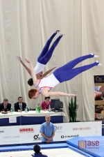 Světový pohár ve skocích na trampolíně - finále