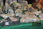 Mezinárodní výstava minerálu