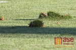 FK BAUMIT Jablonec vs. 1.FK Příbram 