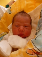 Vanessa Havlíčková přišla na svět 12. října 2011 večer. Šťastnou maminkou je Šárka Havlíčková.