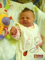 Lenka Havrdová je maminkou malé Karolínky Havrdové. Na svět přišla 16. října 2011 v noci.