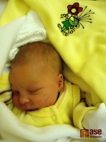 Novorozená Pavlínka Bobková potěšila svou maminku Michaelu Šťovíčkovou první listopadový den 2011 k večeru. Blahopřejeme  ...