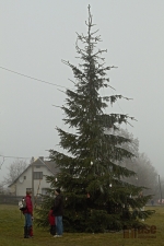 Rozsvícení vánočního stromu na Pěnčíně