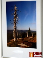 Zaostřeno na Jizerky