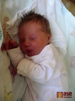Obrazem: nově narozená miminka 2. - 8. prosince 2011