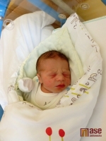 Také Martínek Zajda vykoukl na maminku Petru Šmucrovou 13. ledna 2012 večer.