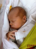 Eva Krejčí je maminkou novorozeného chlapečka. Přišel na svět také 16. ledna 2012 v noci a má jméno Vladan Krejčí.