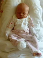 Šťastnou maminkou malé Terezky Cihlářové je Petra Cihlářová. Děvčátko vykouklo na svět 15. ledna 2012 po obědě.
