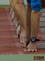 Jablonecká hala 2012