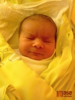 Také 31. ledna 2012 k ránu přišla na svět holčička Laurinka Harcubová. Maminkou je Martina Harcubová.