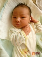 Novorozený chlapeček narozený 30. ledna 2012 k večeru je Stanislav Rajtr. Maminkou je Edita Rajtrová.