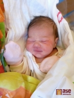 Linda Hozáková je šťastnou maminkou malé Sandry Hercové. Holčička se narodila 6. března 2012 v noci.