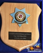 Strážník roku 2011