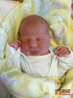 Chlapeček narozený 20. března 2012 v noci je Nicolaus Vele Pšenák. Jeho šťastnou rodinou je maminka Radka Velová, taťka Martin Pšenák a sestřička Darina s bráškou Sebastianem.