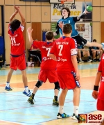 ELP Jablonec - Sokol Vršovice  34:20