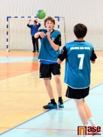 ELP Jablonec - Sokol Vršovice  34:20