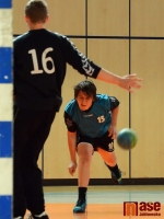 ELP Jablonec - Sokol Vršovice  34:20