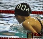 Oblastní přebory v plavání staršího žactva a dorostu